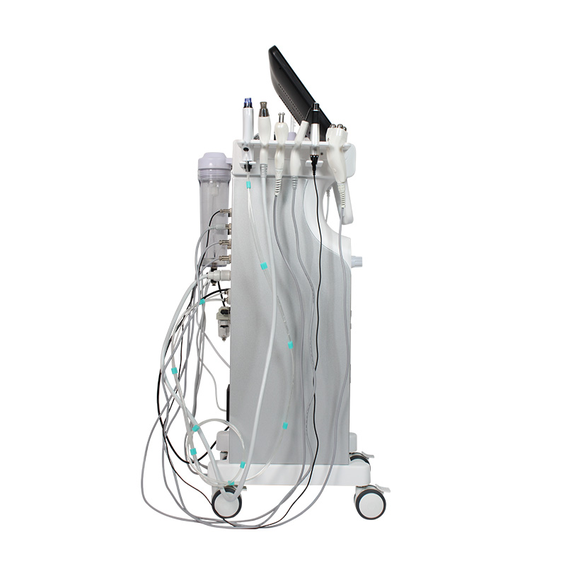 12-in-1 Luxury All-in-One SPA Skin Management Device-1