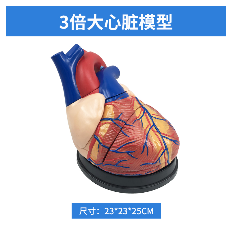 3x Heart (No label)-0