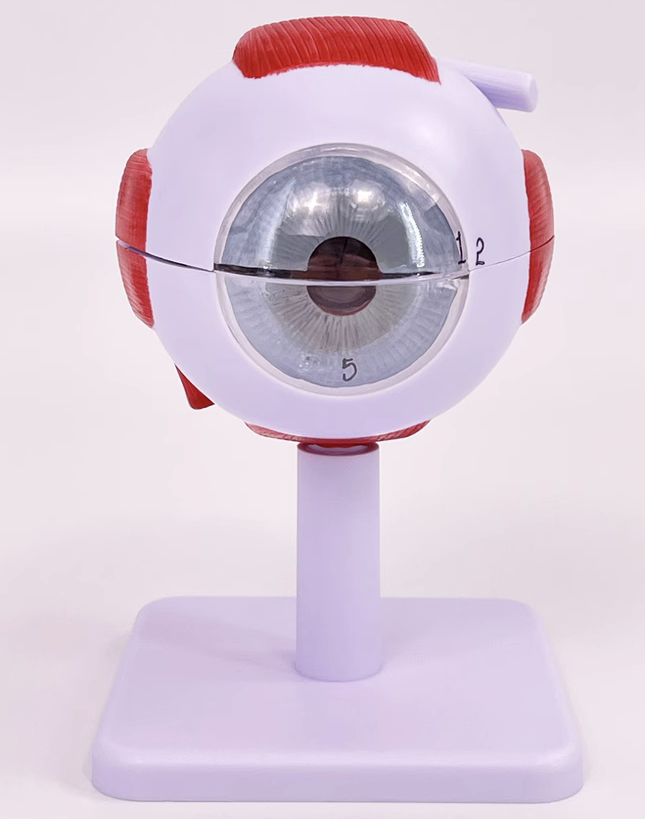 3x Eyeballs (with logo)-0