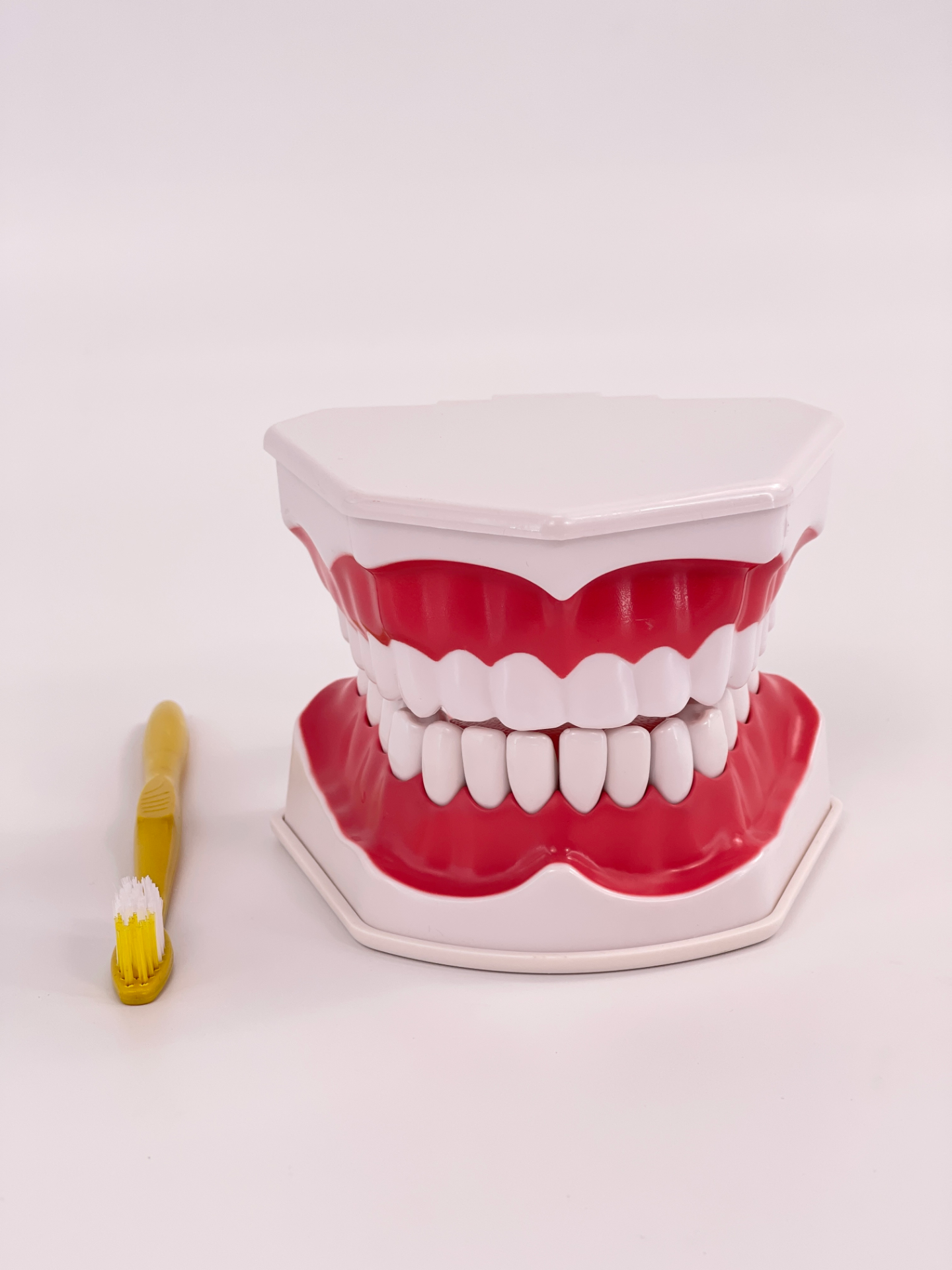 2x Oral (Full-mouth Tooth Fixation)-1