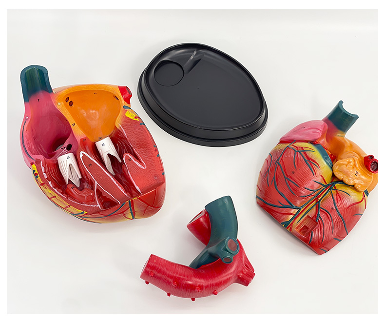 5x Heart (with label)-1