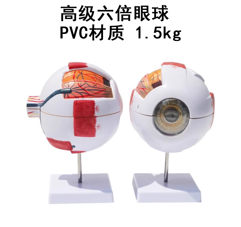 Advanced 6x Eyepiece (with logo)-1