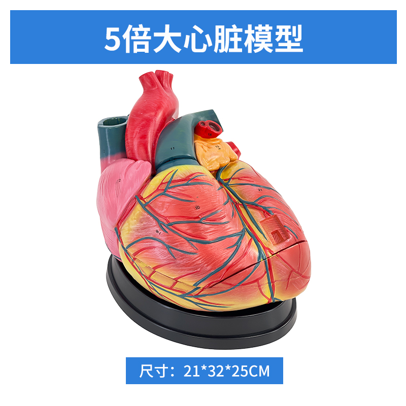 5x Heart (with label)-0
