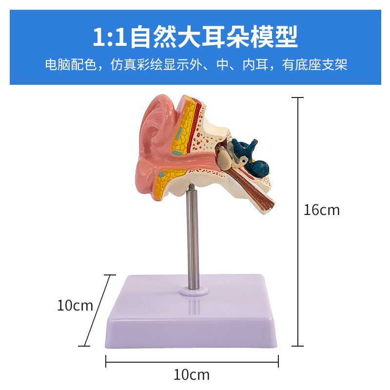 1:1 imported ear-0
