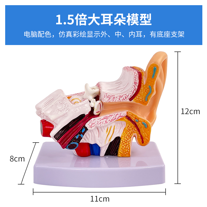 1.5 times the table ear (This translation seems rather unclear as "桌上耳" is not a common or clear term. You may need to provide more context or clarify its meaning for a more accurate translation.)-0