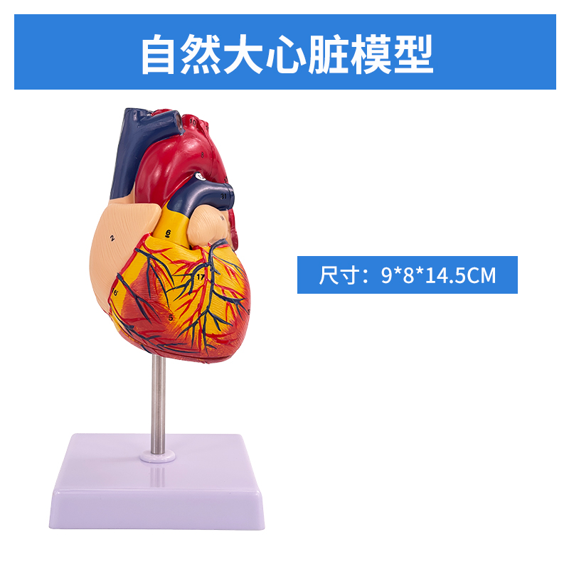 Natural big heart (with logo)-0