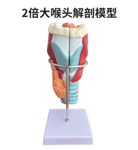 Double throat (5 parts)-0