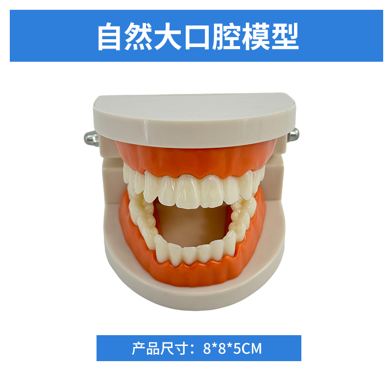 Natural Big Oral Cavity-0