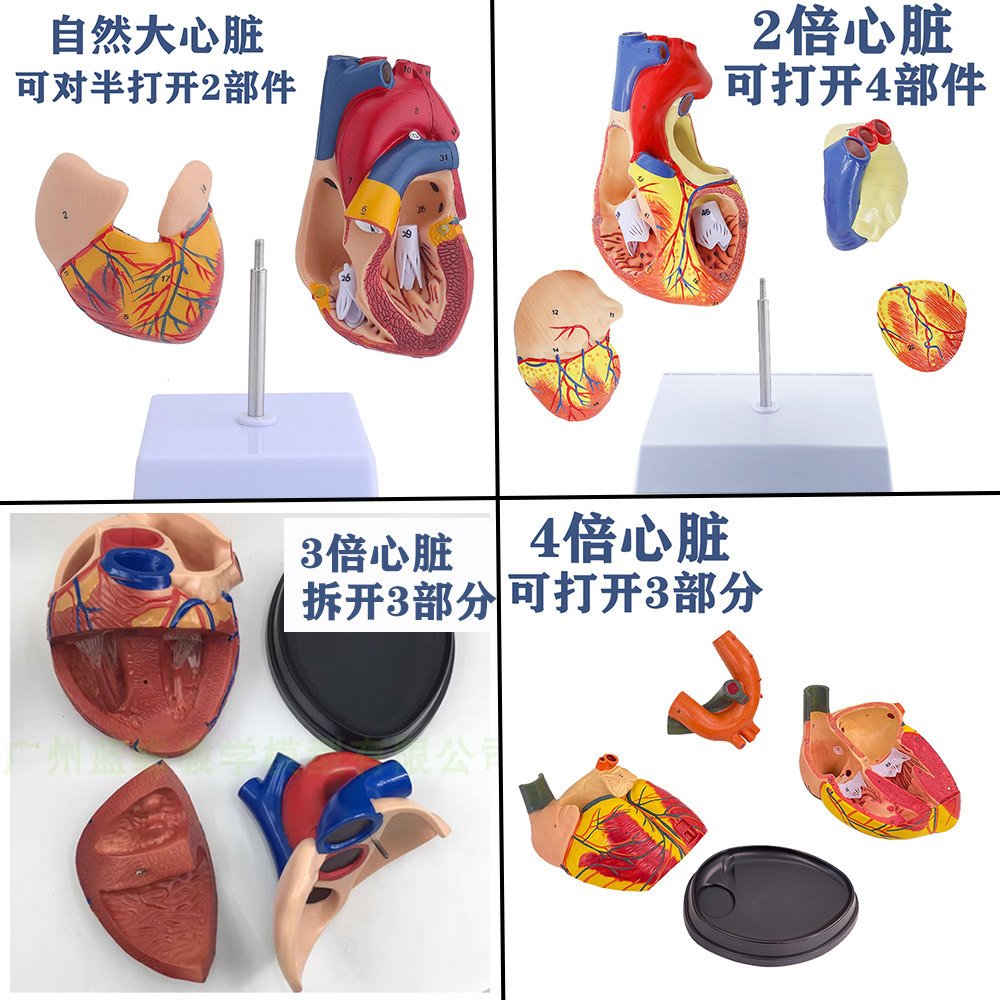 Natural big heart (with logo)-1