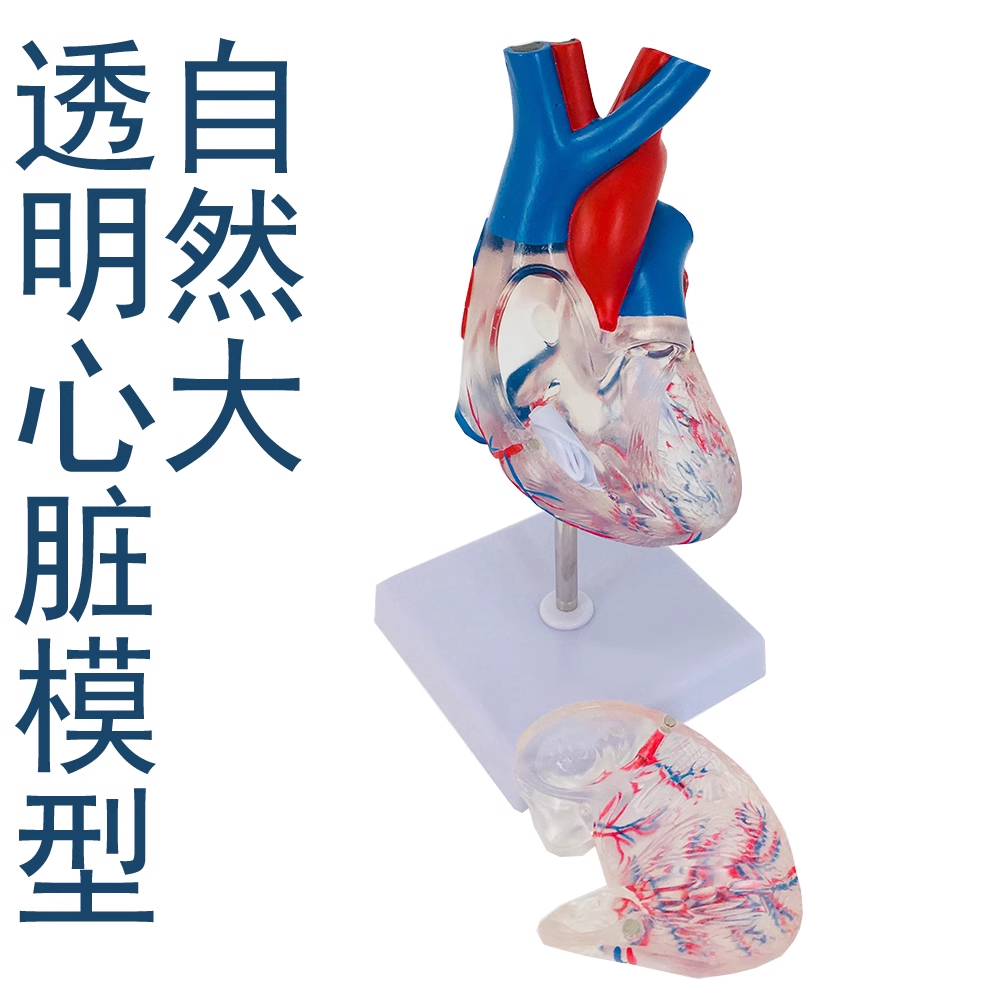 Transparent heart-0