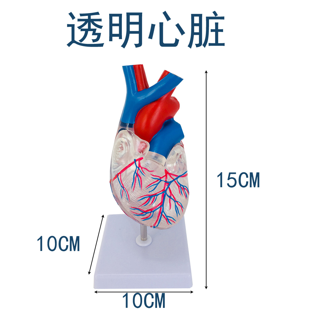 Transparent heart-1