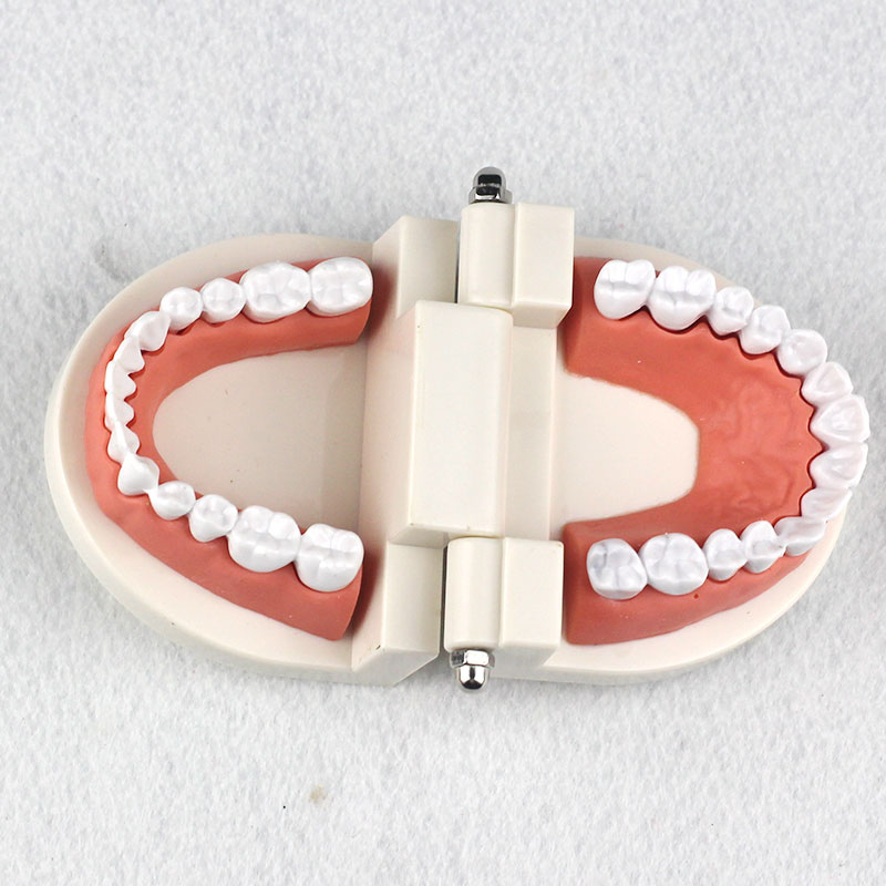 Natural Big Oral Cavity-1