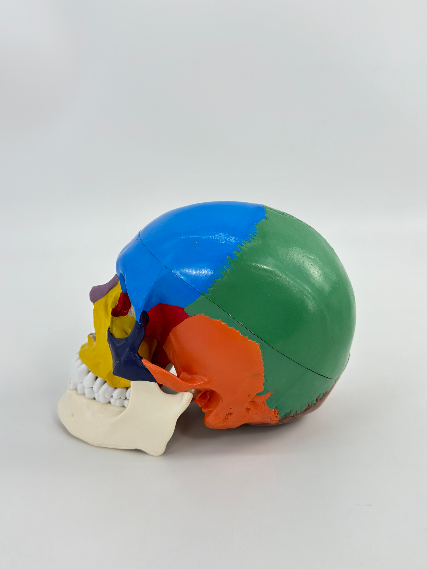 Colorful skulls-1