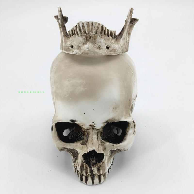 Resin skull (detachable chin)-1