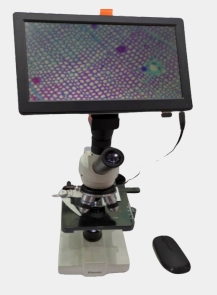Microscopio monoculares con pantalla de visualizaci&oacute;n-1
