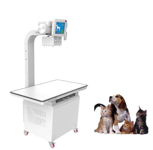 Cama P3: M&aacute;quina de rayos X veterinaria de 320mA, 220V, 20kW-1