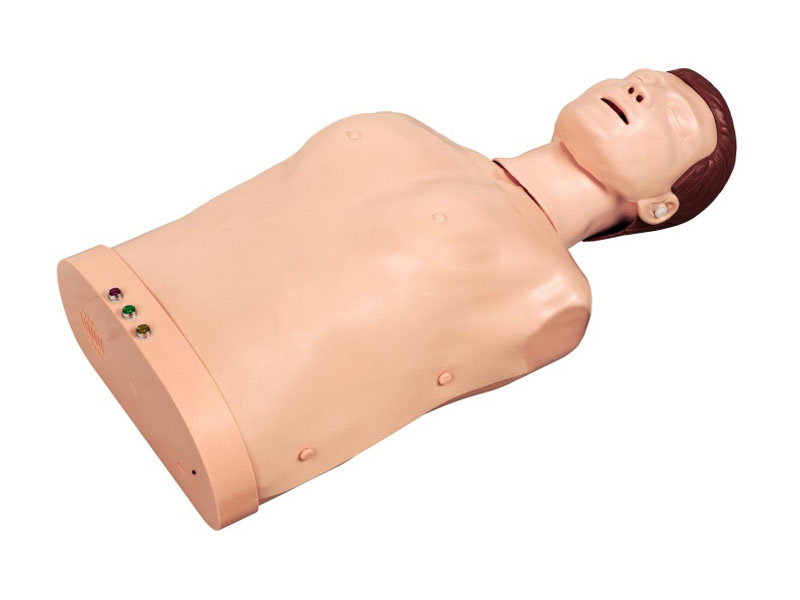 Electronic half-body cardiopulmonary resuscitation training mannequin-0
