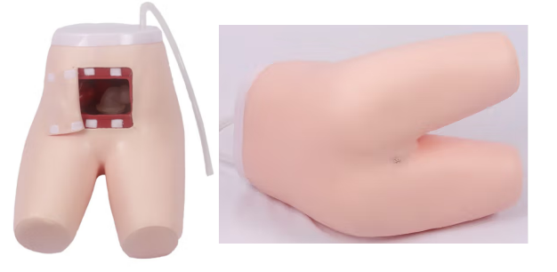 Enema and assisted defecation training model-0