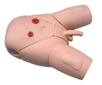 Male urinary catheterization training model-0