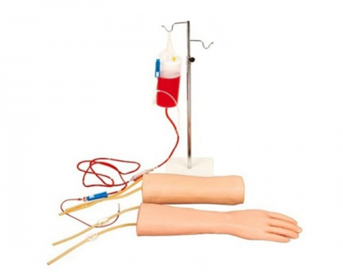Combined hand and elbow intravenous infusion (blood transfusion) training model-0