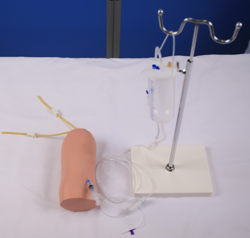 Elbow vein puncture training model-0