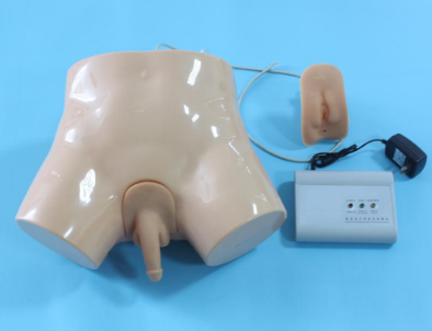 Electronic urinary catheterization and enema teaching model (interchangeable for male and female)-0