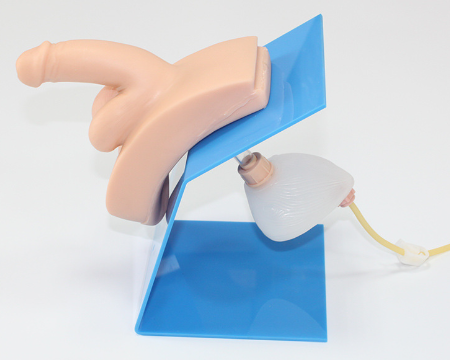 Dressed male urinary catheterization model-0