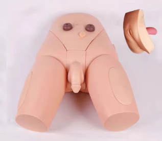 Male and female urinary catheterization models-0