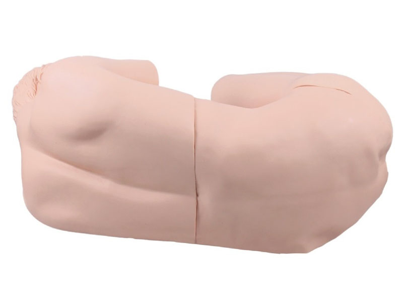 Lumbar puncture training model-0