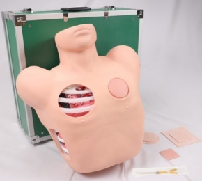 Thoracic puncture and drainage model-0