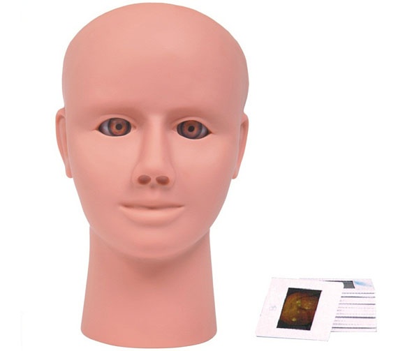 Intraocular retinal lesion examination model-0