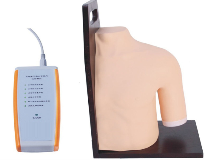 Electronic shoulder joint cavity injection model-0