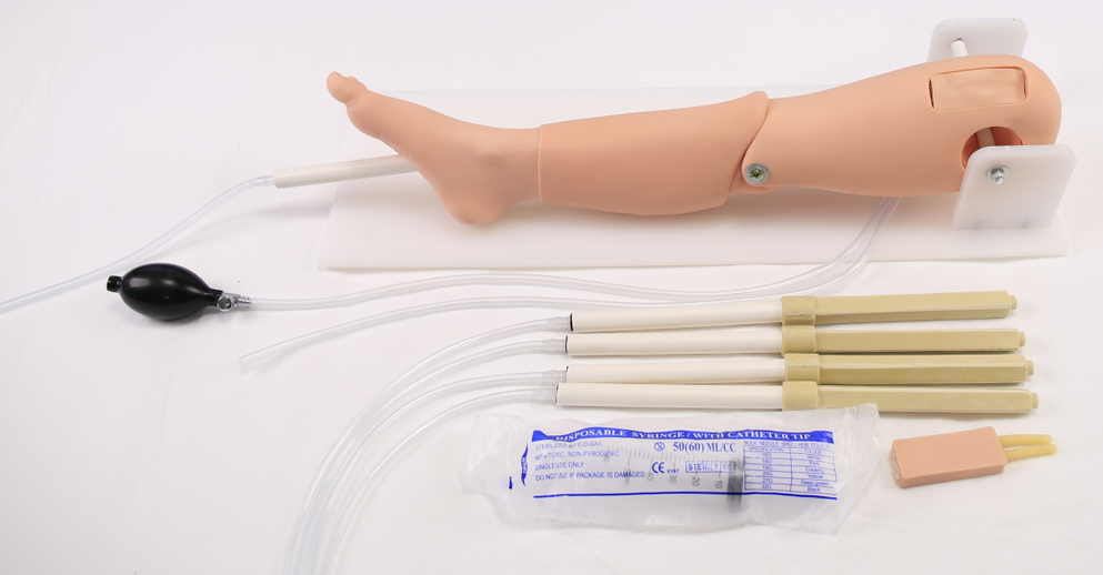 Bone marrow aspiration and femoral vein puncture model-0