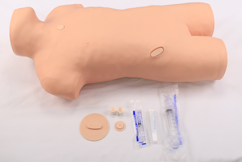Bone marrow aspiration training model-0