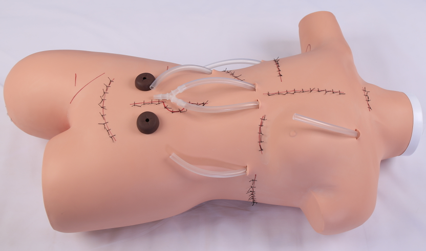Surgical suture and dressing demonstration model-0