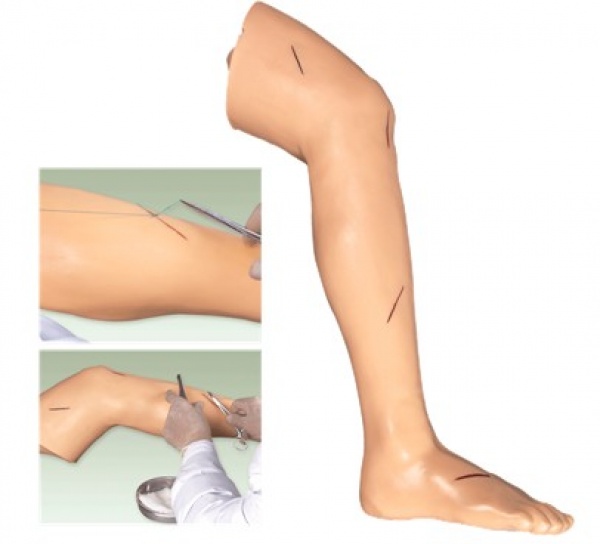Surgical leg suture model-0
