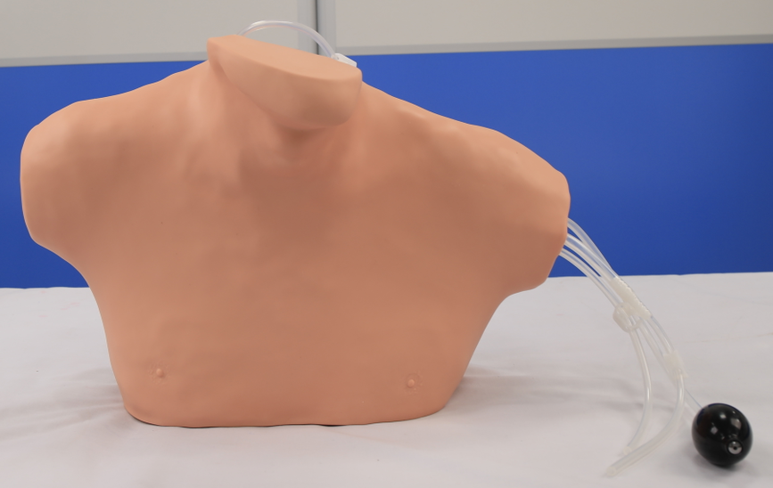 Central venous puncture and catheterization model-0