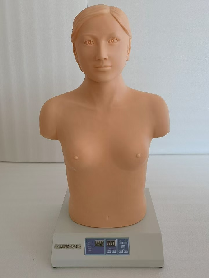 Computerized simulated man for cardiopulmonary auscultation and palpation-0