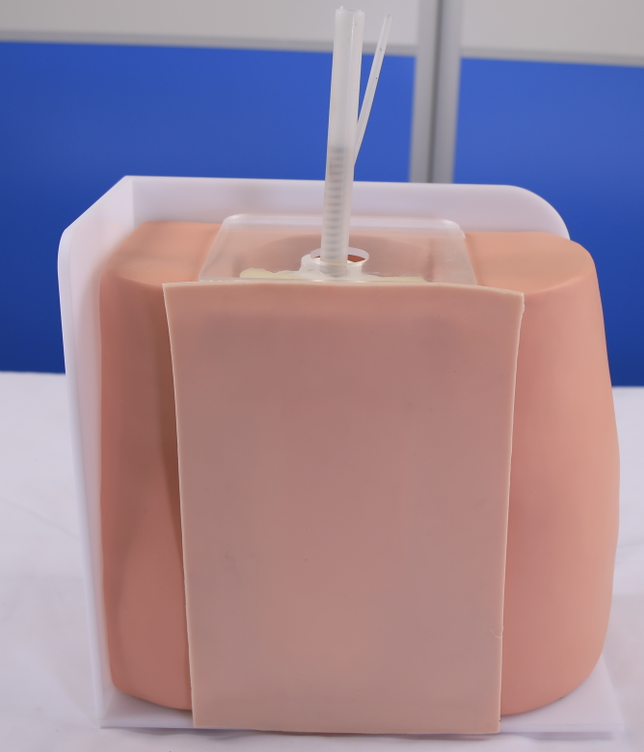 Spinal puncture model-0