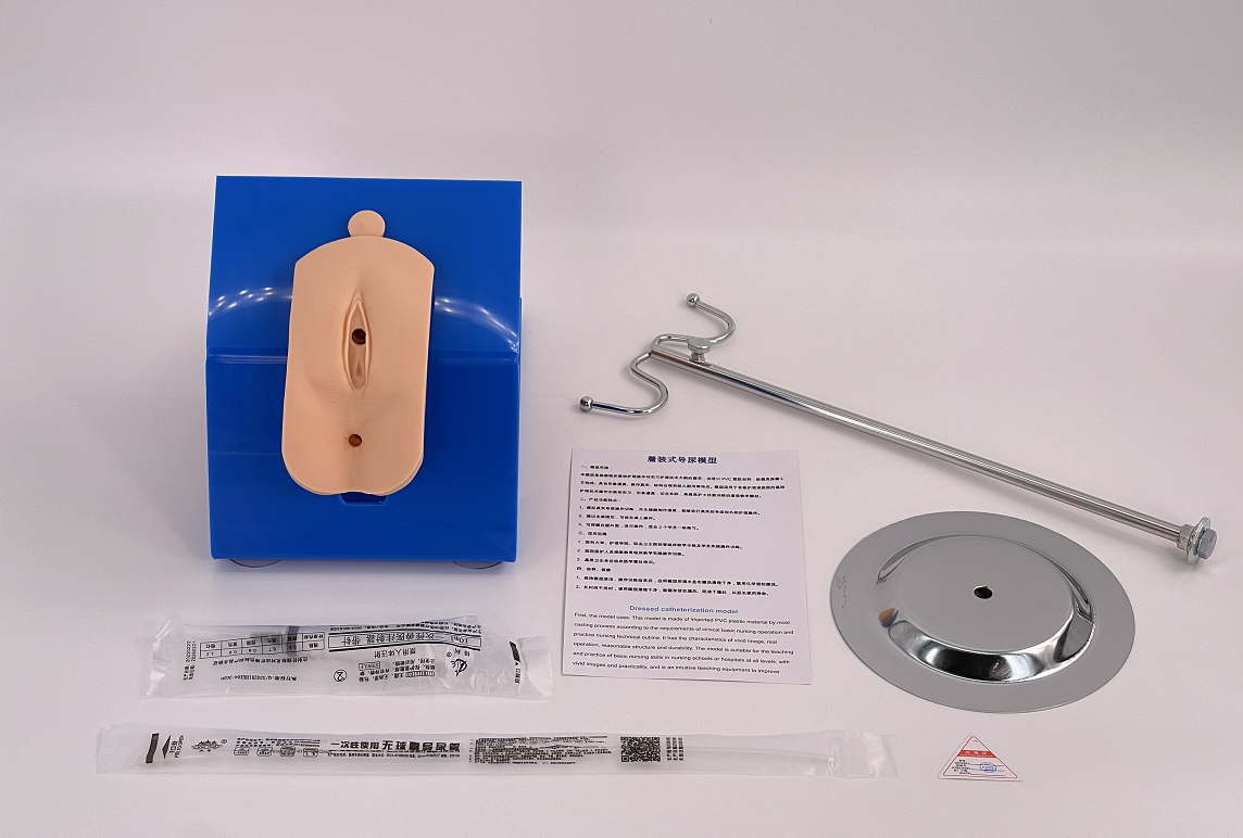 Dress - wearing female urinary catheterization model-0
