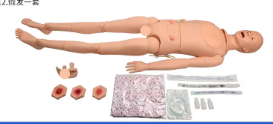 Senior female nursing (including internal organs) + Male genitalia-0