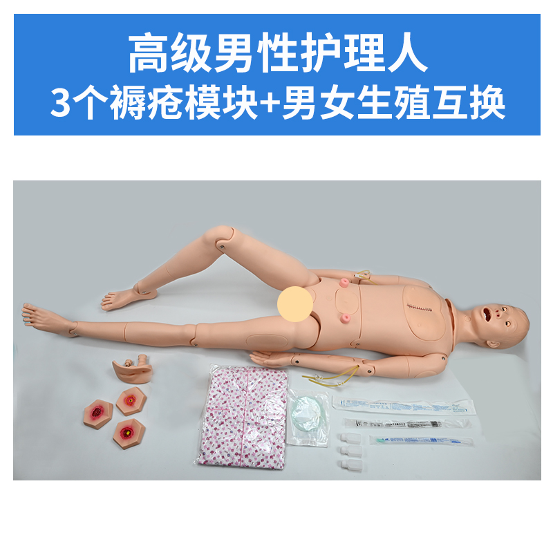Advanced male nursing (including internal organs) + Male and female genitals-0