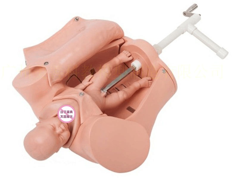 Hand-cranked birth mechanism rotation model-0