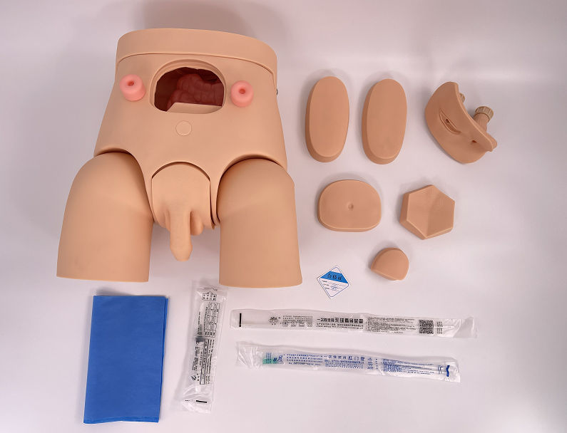 Unisex catheterization model-0
