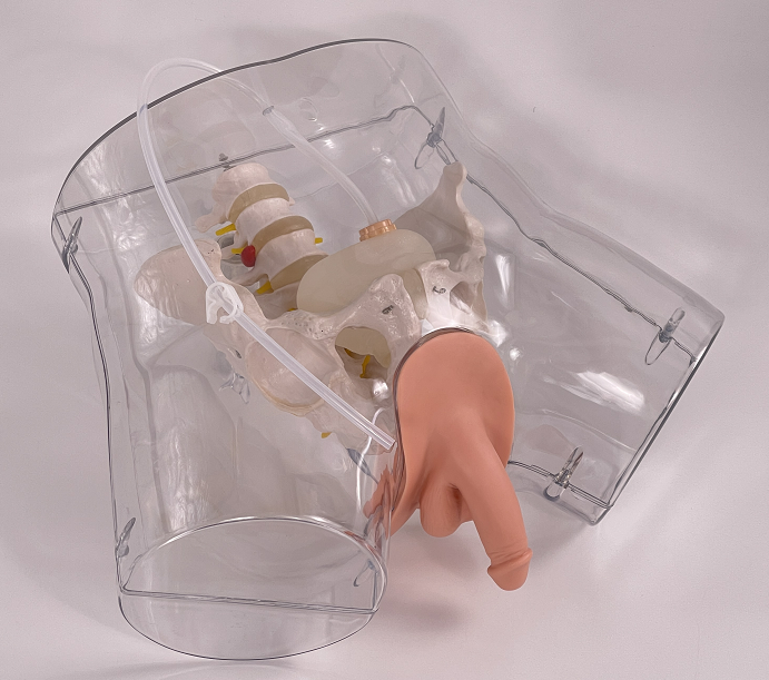 Male transparent urinary catheterization model-0
