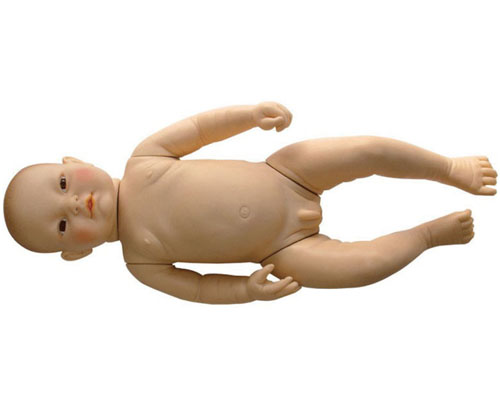 High-intelligence baby simulator-0