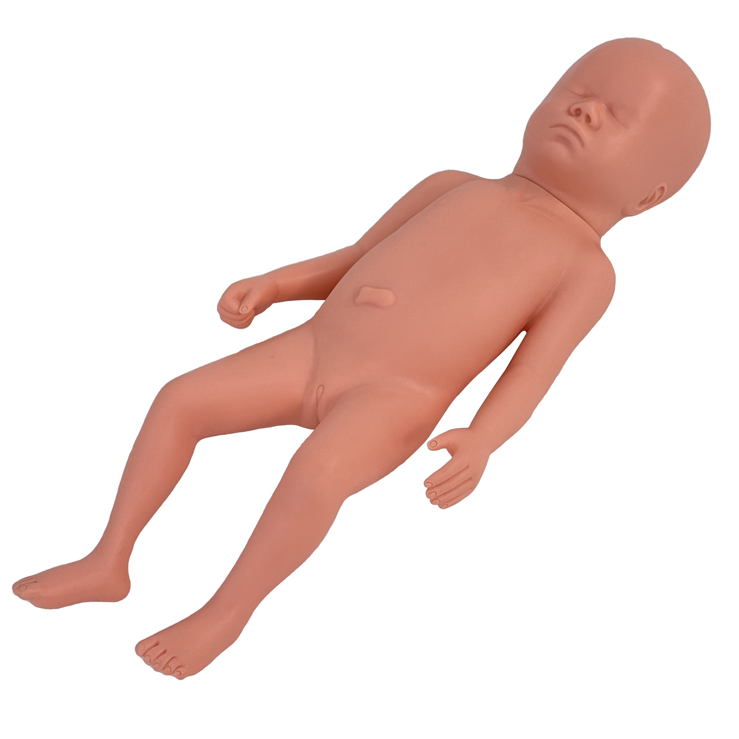 Full-term fetal model-0