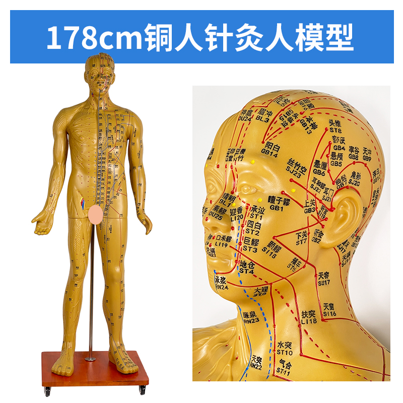 178cm Acupuncture Copper Man Model-0