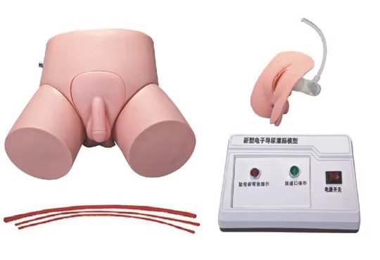 Electronic teaching and internship model for catheterization and enema-0