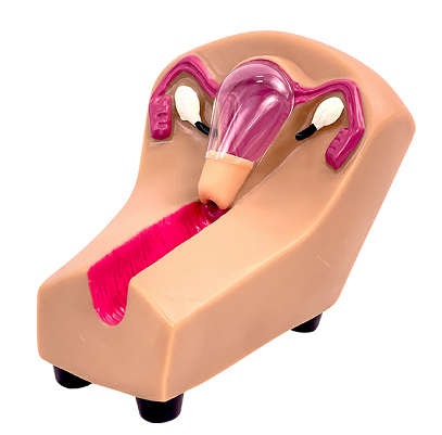 Intrauterine contraceptive training model (small size)-0